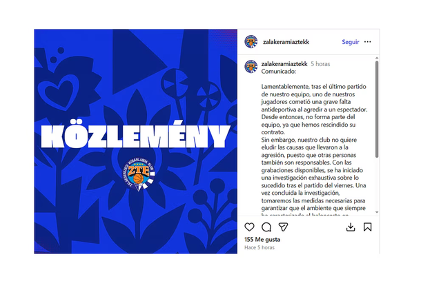 Escándalo en el básquet: un jugador golpeó a un fanático de su propio equipo