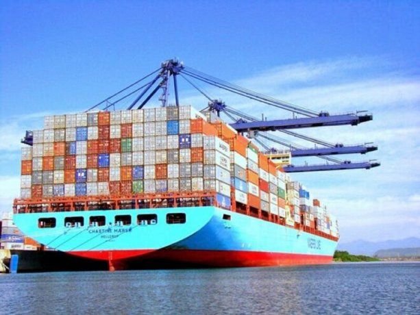 Es oficial la desregulación de las importaciones: todos los detalles Es oficial la desregulación de las importaciones: todos los detalles