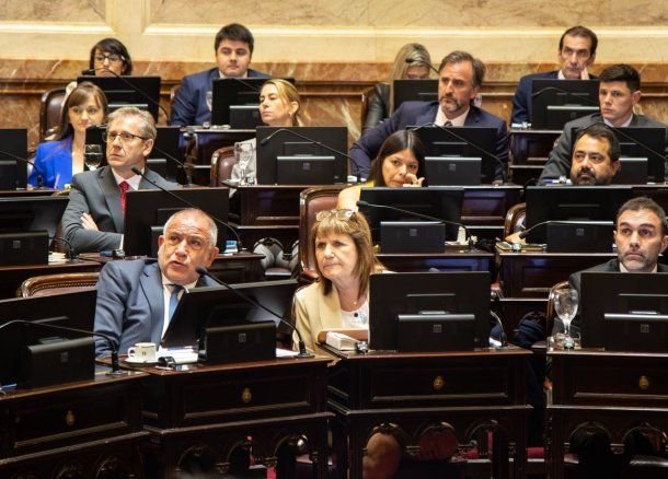 Patricia Bullrich en el Senado.