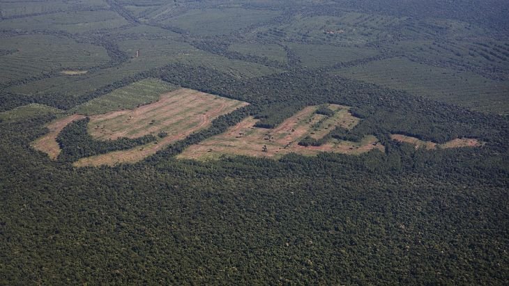 La Amazonía se extiende por nueve países sudamericanos, aunque la mayoría está en territorio de Brasil y es central en la lucha contra el cambio climático. 