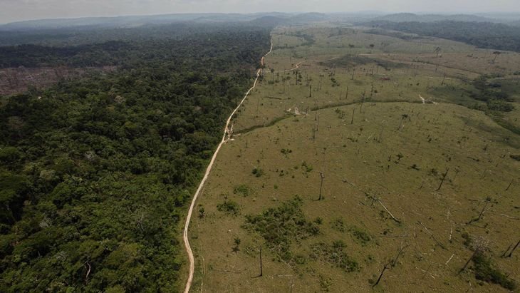 La Amazonía es la selva tropical más grande del mundo y es vital para regular el clima del mundo. La Amazonía es la selva tropical más grande del mundo y es vital para regular el clima del mundo.