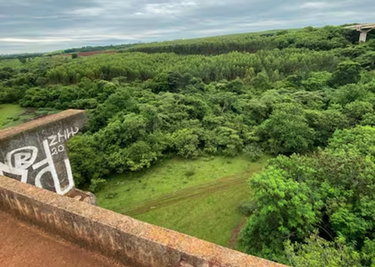 El puente desde donde fue arrojada la turista. El puente desde donde fue arrojada la turista.