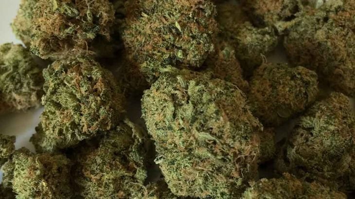 Los rastafaris de Kenia denuncian acoso policial por una ley de 1994, que castiga la posesión de marihuana para consumo personal.