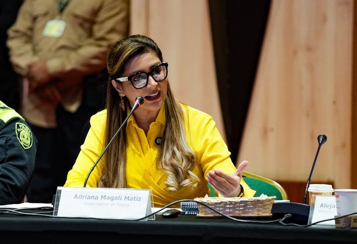 La gobernadora de Tolima, Adriana Magali Matiz, aseguró que existen indicios de que algunos incendios fueron provocados intencionalmente.