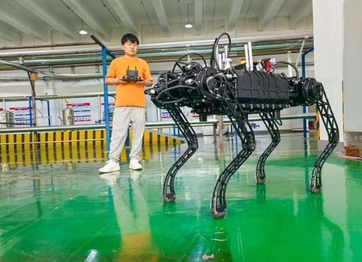 Los robots chinos enfrentan el desafío de su adopción en la industria.