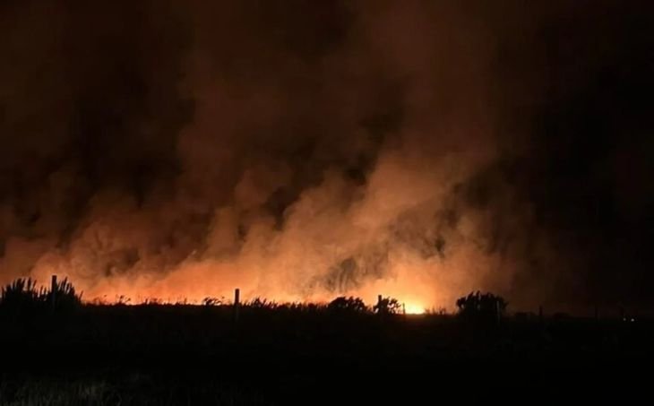 Las nubes de fuego son tormentas eléctricas gigantescas producidas por el calor de los incendios forestales. Las nubes de fuego son tormentas eléctricas gigantescas producidas por el calor de los incendios forestales.