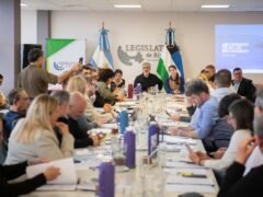 Corredor de los 5 Grandes: dictamen favorable para crear un área marina protegida única en Río Negro