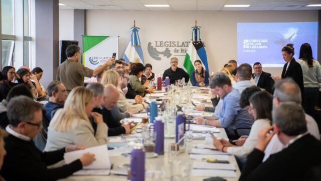 Corredor de los 5 Grandes: dictamen favorable para crear un área marina protegida única en Río Negro