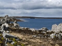 Malvinas y el Parque Nacional Nahuel Huapi, un vínculo natural que reafirma la soberanía
