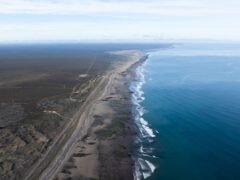 Del mar rionegrino al mundo: Río Negro marca un hito en conservación marina