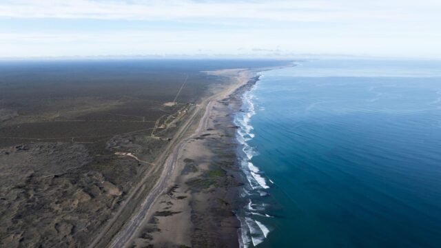 Del mar rionegrino al mundo: Río Negro marca un hito en conservación marina