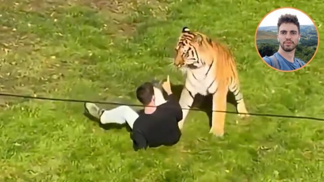 Confirmaron la identidad del joven que murió tras ser atacado por un tigre en un zoológico británico