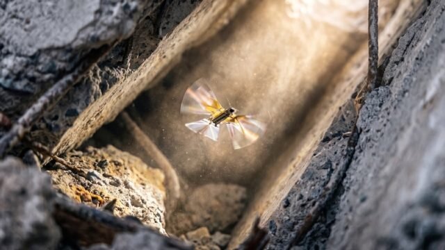 Desarrollan un robot inspirado en insectos que promete revolucionar la exploración en entornos extremos