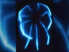 Descubrieron arañas marinas gigantes que emiten luz azul en las profundidades de Australia