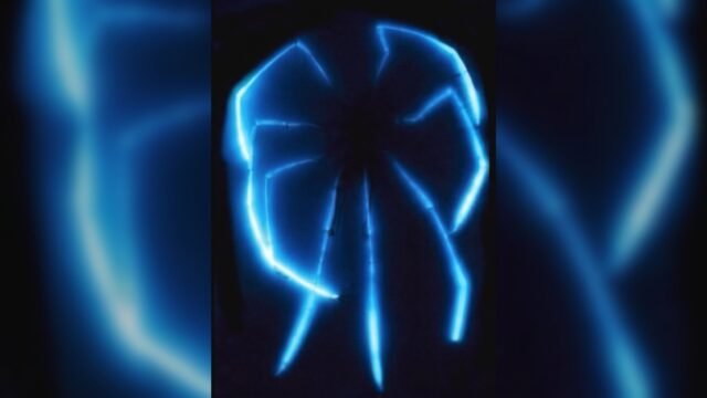Descubrieron arañas marinas gigantes que emiten luz azul en las profundidades de Australia