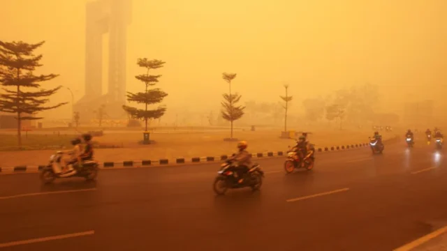 Indonesia reporta más de 300.000 casos de infección respiratoria por el humo de los incendios en Borneo