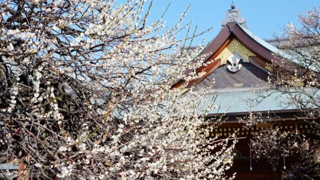 Japón reinventa sus rituales funerarios ante el colapso demográfico y el alto costo de morir