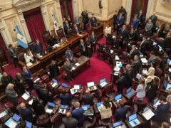 El Senado debate la reforma de la Ley de Salud Mental, que habilita internaciones involuntarias