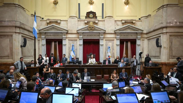 El Senado sesiona con la ley de salud mental aún en duda y buscará aprobar beneficios fiscales para inversiones