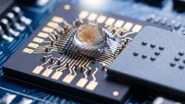 Mini cerebros cultivados en laboratorio logran identificar letras braille en un experimento revelador