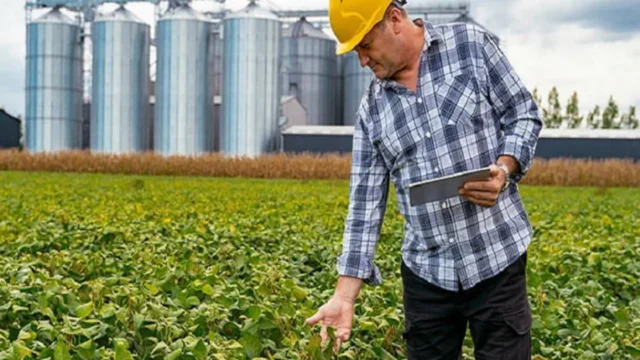 Un gigante del agro cerró una planta en Campana: hay 110 trabajadores despedidos