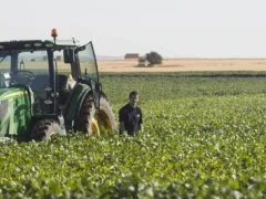 El triunfo de Lula puede mejorar el acceso de los productos argentinos al mercado de EEUU, según la Bolsa de Cereales
