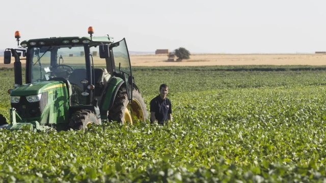 Estiman que la Argentina es el único productor agrícola del mundo que mejoraría su cosecha pese a El Niño