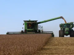 Dudas en una de las locomotoras de la economía: la incertidumbre electoral es el principal freno a las inversiones del campo