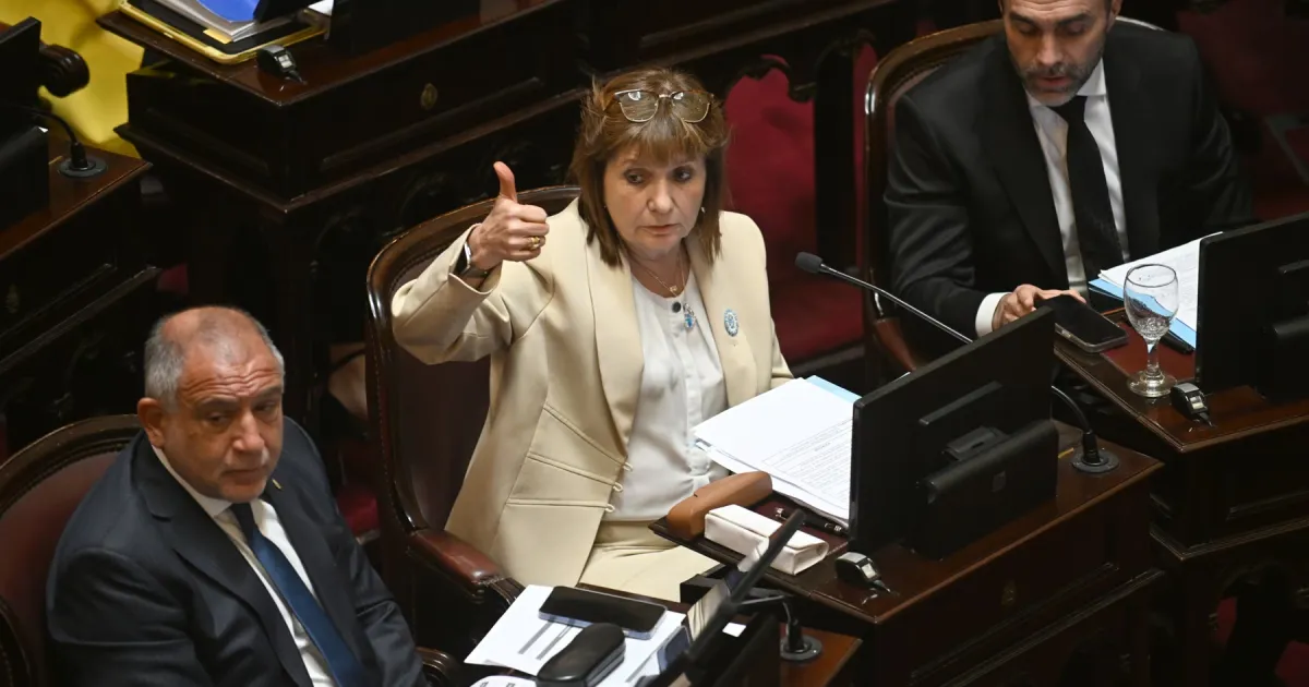 Reforma de la Ley de Salud Mental: el Senado podría debatir el proyecto el próximo jueves