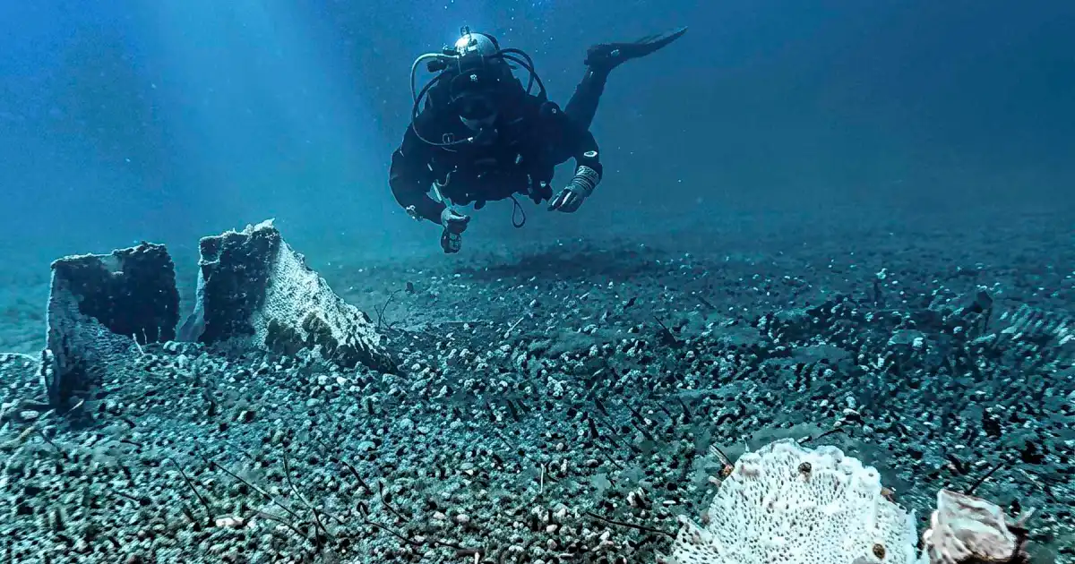 Buceaban por curiosidad y encontraron una huella de la historia mapuche bajo el agua