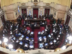 El Senado aprobó cambios en la ley de salud mental: se modifican criterios de internaciones y equipos médicos