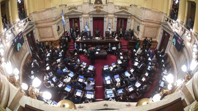 El Senado aprobó cambios en la ley de salud mental: se modifican criterios de internaciones y equipos médicos