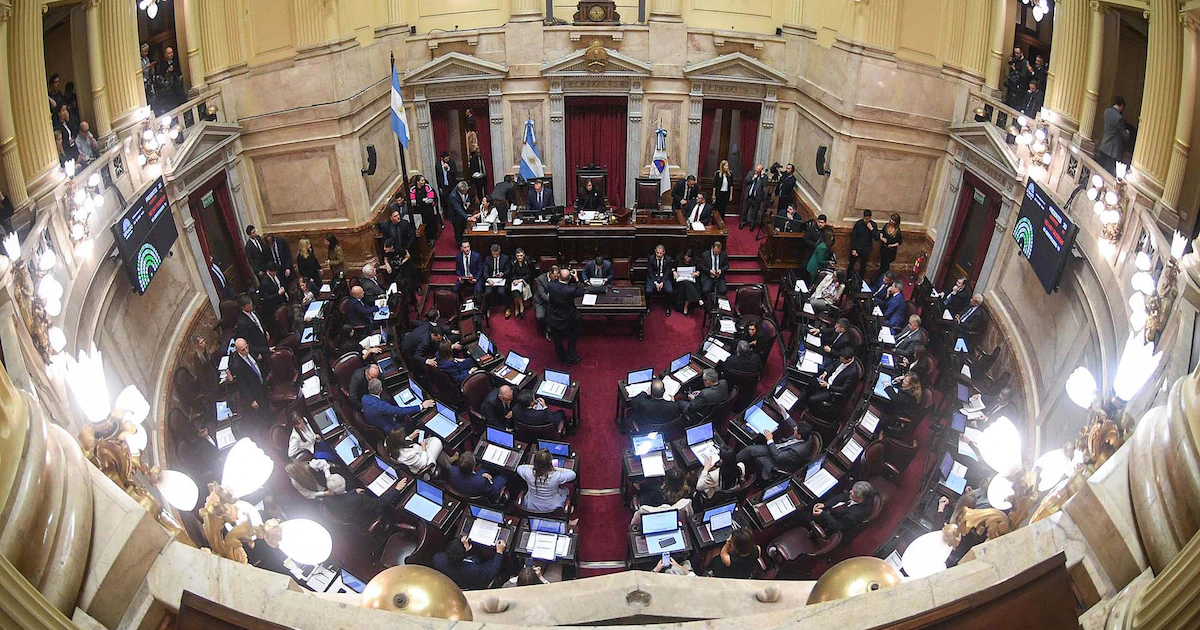 El Senado aprobó cambios en la ley de salud mental: se modifican criterios de internaciones y equipos médicos