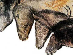 Científicos descubren que un barniz de calcita preservó las pinturas prehistóricas de la cueva de Chauvet