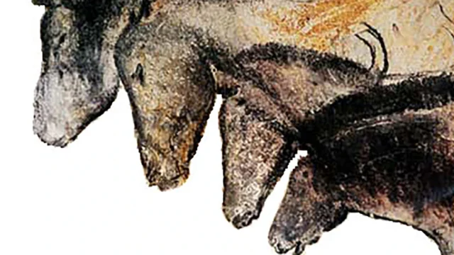 Científicos descubren que un barniz de calcita preservó las pinturas prehistóricas de la cueva de Chauvet