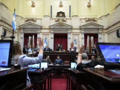 El Senado aprobó la reforma de la Ley de Salud Mental: qué cambia en las internaciones involuntarias
