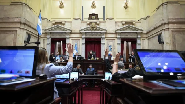 El Senado aprobó la reforma de la Ley de Salud Mental: qué cambia en las internaciones involuntarias