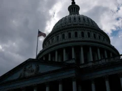 ChatGPT fabricó imágenes falsas de candidatos al Congreso de Estados Unidos en 80% de los pedidos