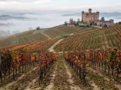 Pagaron USD 430.000 por un vino italiano que llegará al mercado en 2029: qué hay detrás de la subasta récord