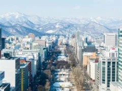 Entre esculturas de hielo, jardines públicos y ferias gastronómicas: así se transforma el centro de Sapporo todo el año
