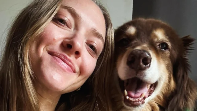 Caballos rescatados, más de 40 animales y una granja con casi 100 años: así es el santuario de Amanda Seyfried lejos de Hollywood