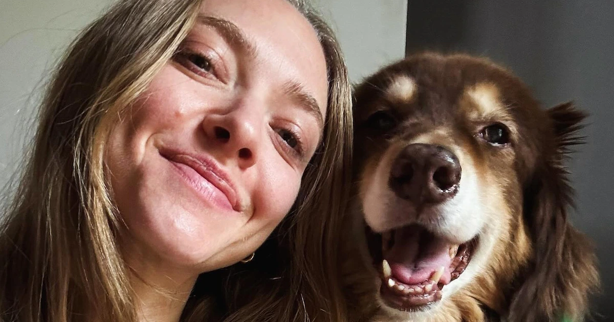 Caballos rescatados, más de 40 animales y una granja con casi 100 años: así es el santuario de Amanda Seyfried lejos de Hollywood