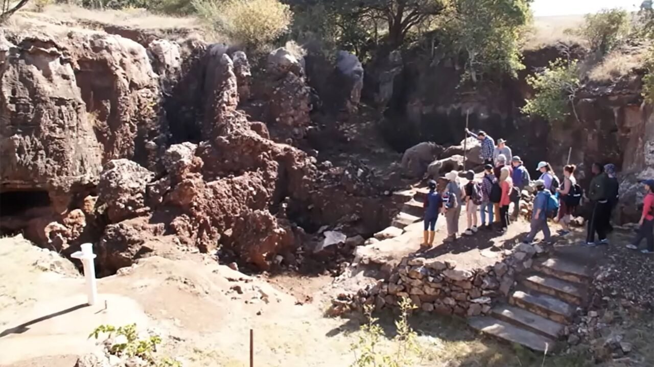 Un fósil adulto refuerza que el Homo erectus vivió en el sur de África hace dos millones de años