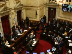 Senado: habrá sesión mañana para votar la ley de salud mental y beneficios para inversiones desde USD 12 millones