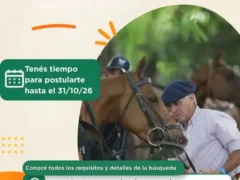 Buscan petisero para trabajar en el cuidado de caballos en actividades en Río Negro
