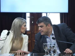El Senado busca consensuar la creación de un registro de deudores alimentarios morosos
