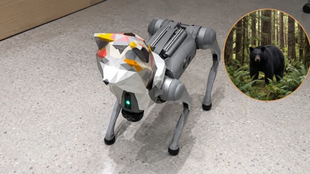 Ante el avance de los osos sobre las ciudades, Japón prueba una solución inesperada: perros robots autónomos