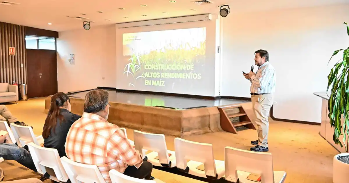 Maíz de alto rendimiento: las claves para transformar el potencial en kilos de grano en la Patagonia