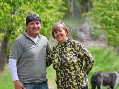 Compraron la chacra que nadie quería y hoy cosechan 8.000 kilos por hectárea del «rubí de la fruticultura» en la Patagonia