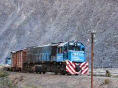 Privatización del Belgrano Cargas: el Gobierno está a un paso de posponer el proceso de licitación